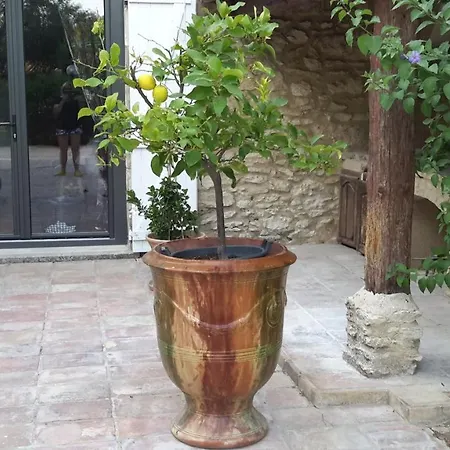 Oda ve Kahvaltı Des Cosme