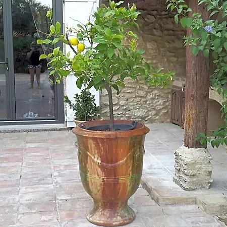 Des Cosme * Aramon