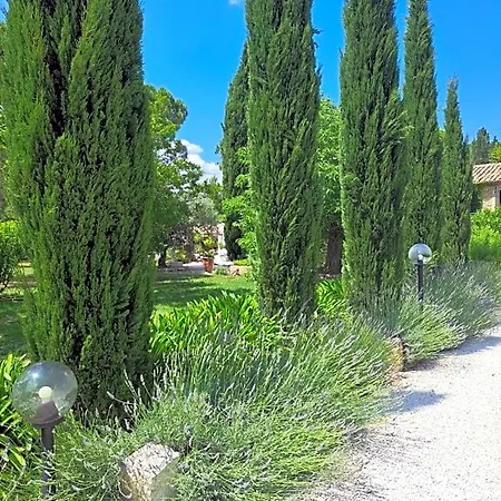 Des Cosme * Aramon